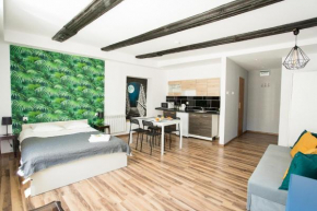 Old Town Studio (B), Torun